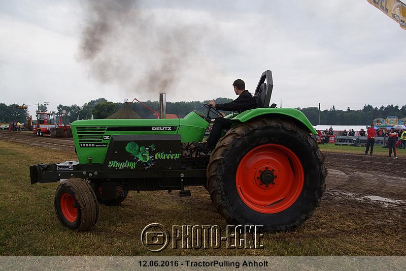 006.jpg
