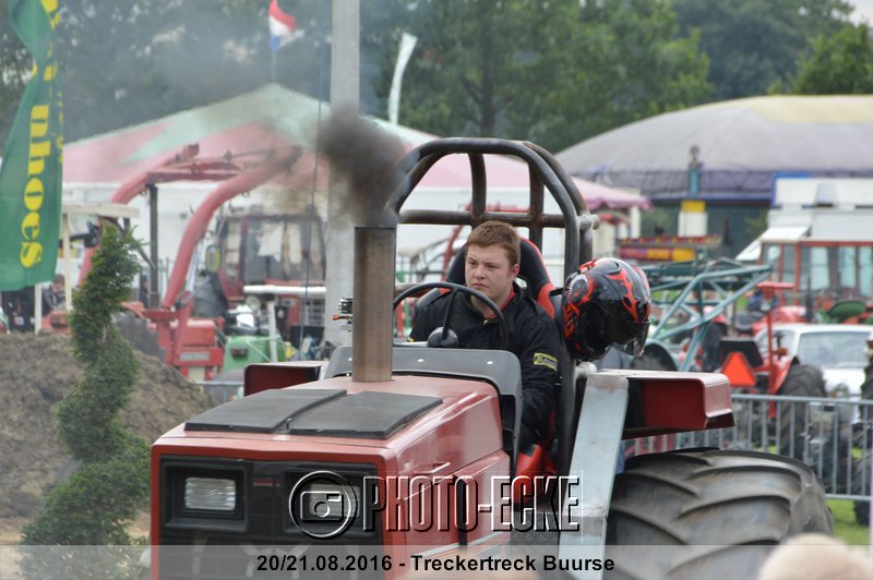 139.jpg