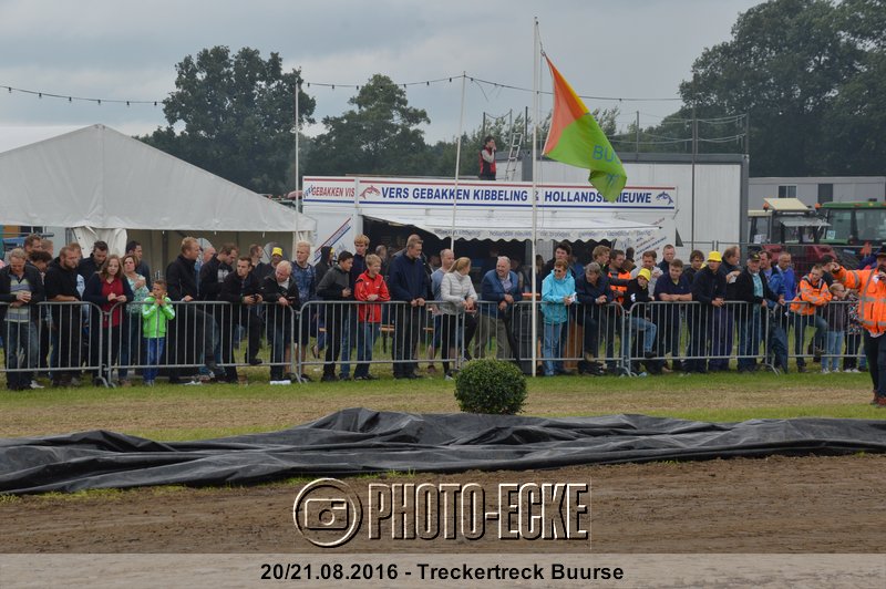 159.jpg