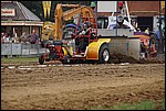061.jpg