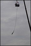 142.jpg
