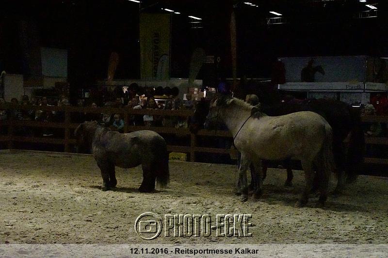 047.jpg